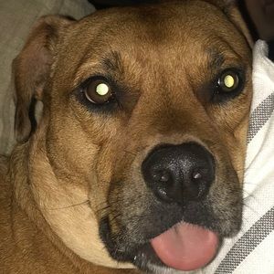 Meet your Posher, Sage